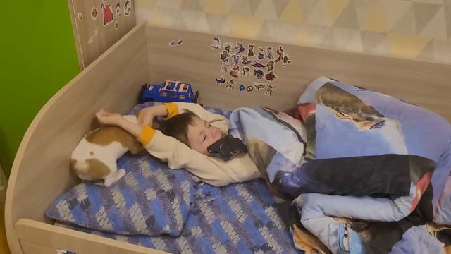 Купили щенка Джек-рассел-терьер 🐕 смотреть онлайн