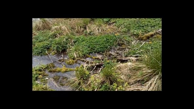 Вена Австрия. Семейный маршрут в районе Диких Альп. Песня от австрийских туристов. Видео Козерога. смотреть онлайн
