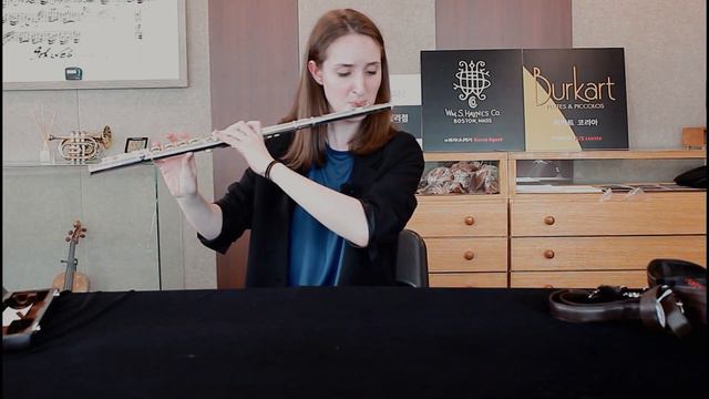 {FLUTE REVIEW} Best beginner flute? ✓ Haynes AF500SE-CO смотреть онлайн