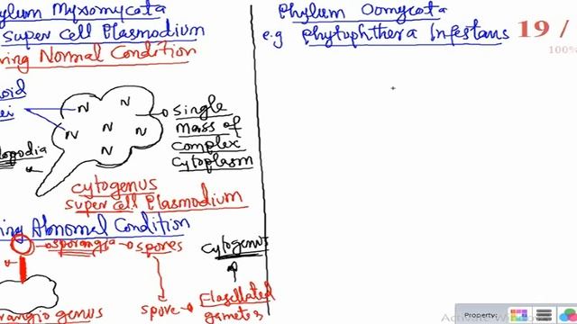 PROTISTA & FUNGI || L#3 || Fungi Like Protista (Myxomycota & Omycota) смотреть онлайн