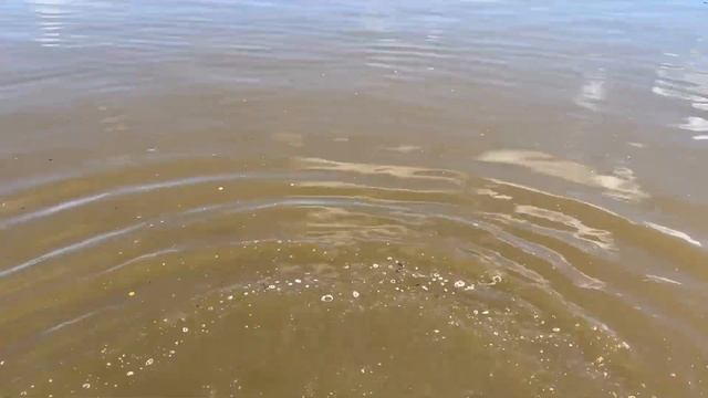 Рыбалка в РК Марлин смотреть онлайн