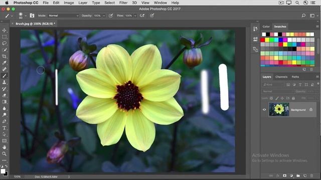 How To Use Brush Tool In #Adobe #Photoshop #Tutorial 25 @VLoideo's смотреть онлайн
