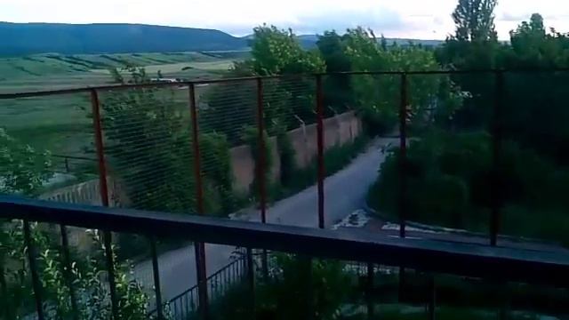 Тайган сафари амурские тигры в шикарных условиях целой семьей смотреть онлайн