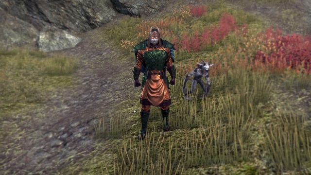 ESO Sets: Lord Warden. смотреть онлайн