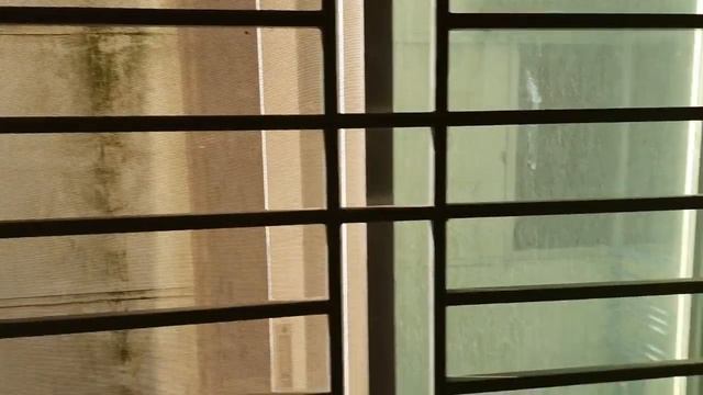 কক্সবাজারে পরিবার নিয়ে নিরাপদে ও সাশ্রয়ী মূল্যে থাকুন Hotel Water Orchid смотреть онлайн