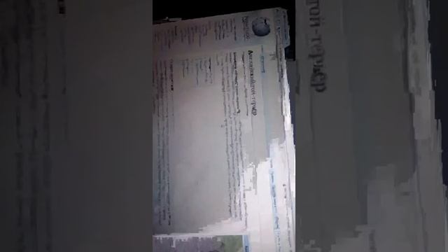 Моя парода собак английский той терьйр смотреть онлайн