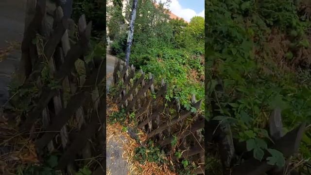 Германия -Берлин-улицы.. смотреть онлайн