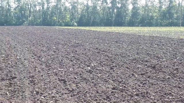 Культивация поля на мтз-82 под посев медоносов смотреть онлайн