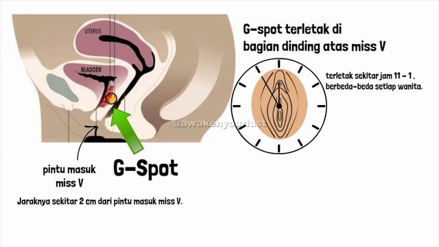 MEMBUAT ISTRI NIKMAT HINGGA MUNCRAT смотреть онлайн