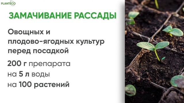 Биоинсектицид Beauveria Bassiana Subsp. Vivus Planteco. Назначение, инструкция, нормы расхода