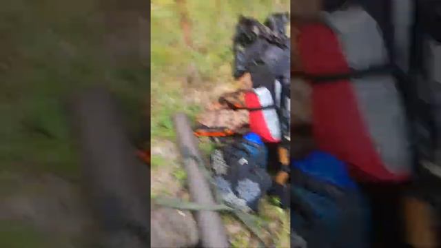 29 августа 2018 г. смотреть онлайн