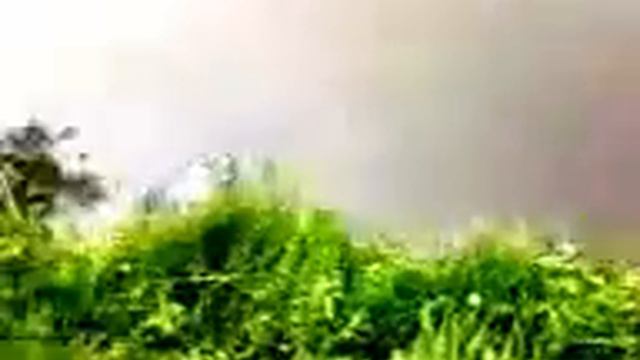 Ловля карпа на фидер видео смотреть онлайн