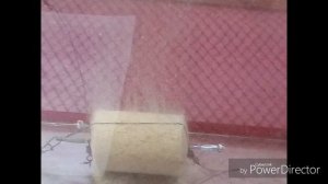 ГЕЙЗЕР технопланктон на толстолоба своими руками. технопланктон гейзер