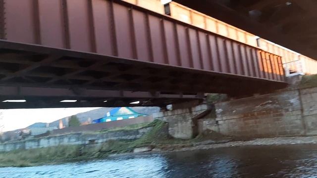 20231021 145111 Идем с псом Дариком смотреть на вечерний Байкал смотреть онлайн