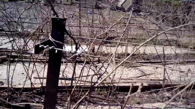 дача после потопа смотреть онлайн