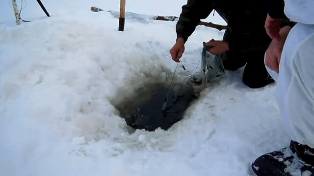 зимняя рыбалка смотреть онлайн