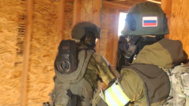 сладких снов сука смотреть онлайн
