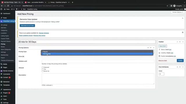 How To Setup Membership Pricing in Classified Listing Plugin смотреть онлайн