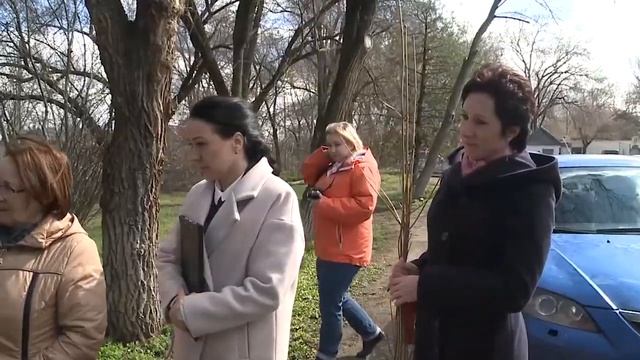 День посадки деревьев смотреть онлайн