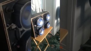 Sony ss-rg475 speakers flex