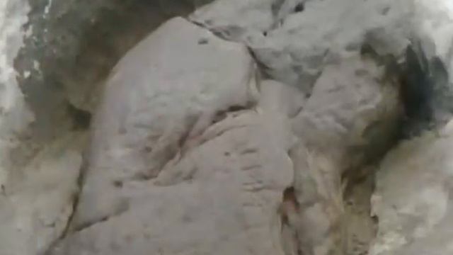 Туман в Коломенском смотреть онлайн