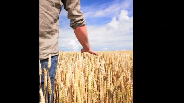 Within Creation - Rob Monath смотреть онлайн