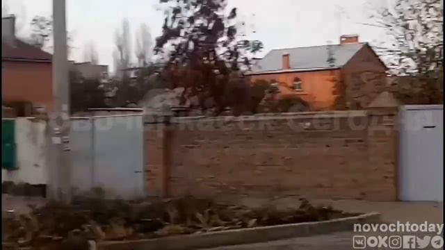 Собаки на улице Народной. Новочеркасск. смотреть онлайн