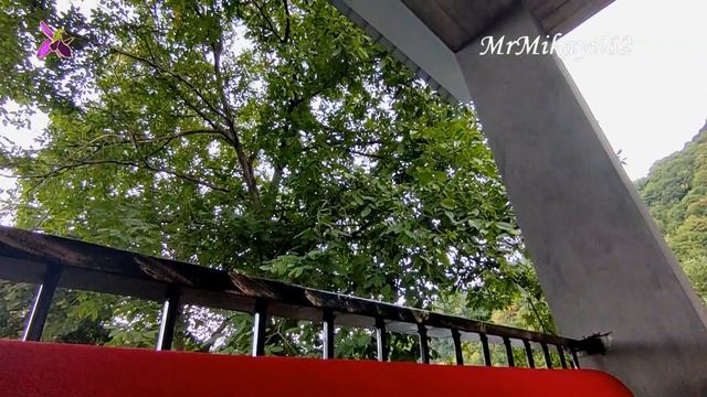 Спать на свежем воздухе и просыпаться под щебетание птиц. 17.08.22. Qəbələ - Qəmərvan смотреть онлайн