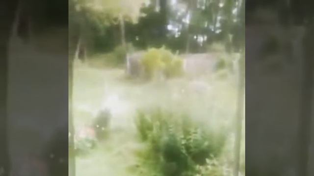 Французское окно для молодого художника смотреть онлайн