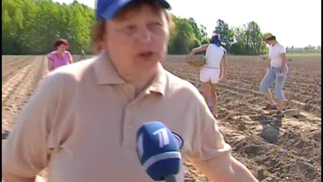 фиолетовая картошка смотреть онлайн