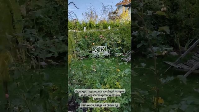 Железному купоросу - жирное "нет" в моём саду смотреть онлайн