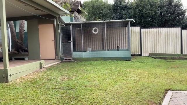 Рябушкино горе ч.2 - Финал. смотреть онлайн