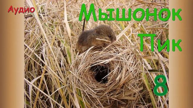 Мышонок Пик Ч. 8. Незванный гость. В. Бианки. смотреть онлайн