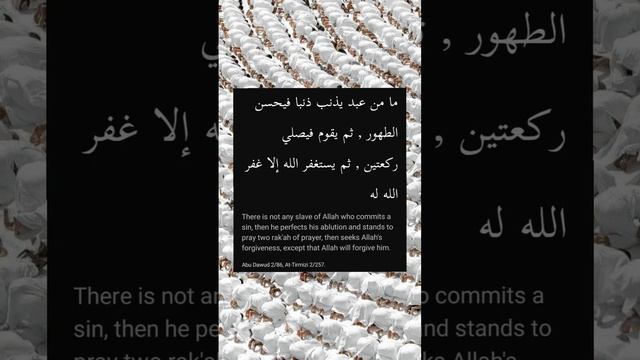 Repentance for committing a Sin | Allah will forgive you if you do this | #Allah #prayer #islam смотреть онлайн