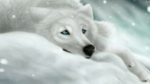 Грустная песня про волка