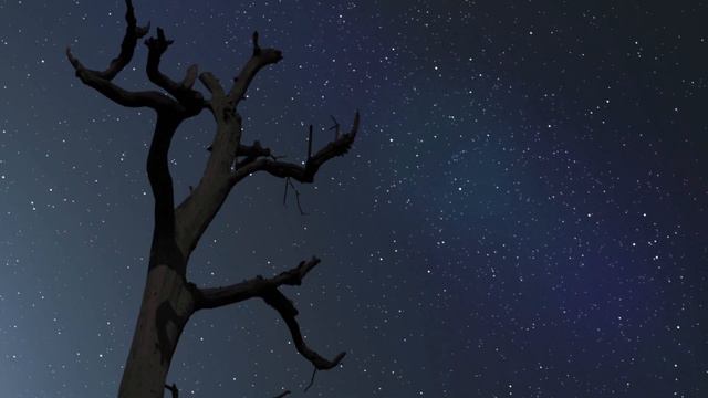 The Next Step - ft. Stephen Hawking & Bill Nye смотреть онлайн