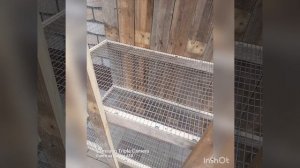 Клетки для кроликов с маточником своими руками