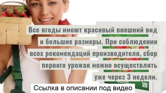 Клубника ЧУДО ЯГОДНИЦА сказочный сбор отзывы чудо ягодница сказочный сбор отзывы смотреть онлайн