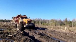 Водители лесовозов, Уровень монстры по бездорожью, уникальная подборка.