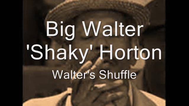 Big Walter Horton-Walter's Shuffle