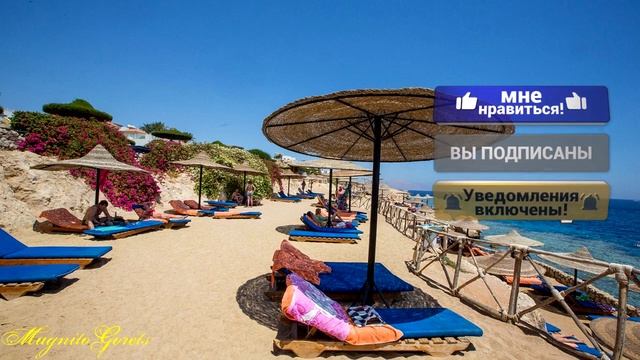 Отели Египта Siva Sharm Resort & Spa 4* ( Египет, Шарм Эль Шейх) смотреть онлайн