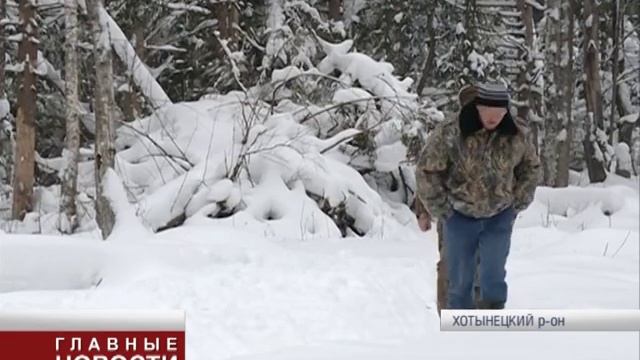 VВ "Орловском полесье" на территории национального парка зафиксировано массовое усыхание ельников. смотреть онлайн