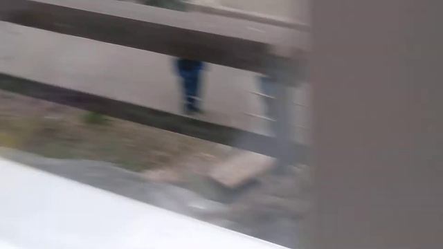 Воробьи привели птенцов на подоконник смотреть онлайн