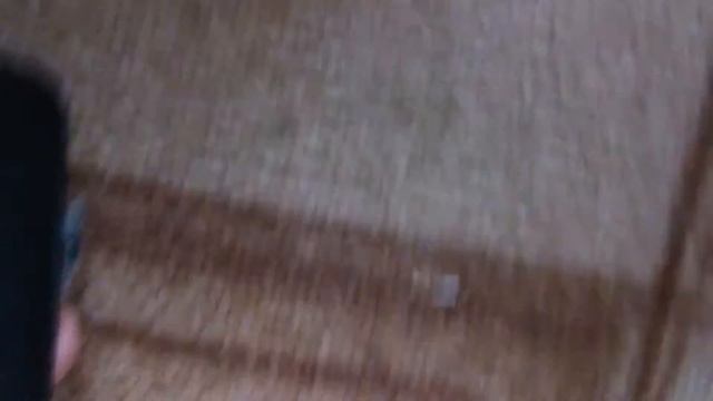 Черепахи девочка и мальчик смотреть онлайн