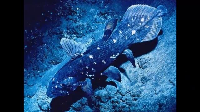 ЛАТИМЕРИИ - Ожившие "мертвецы" смотреть онлайн