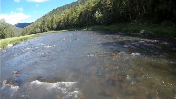 Возможности водометной лодки с водометной насадкой // Абакан 430 & SEA-PRO 40 //