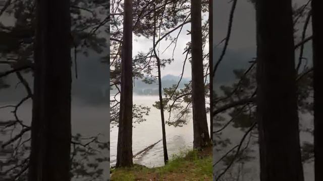 Катунь, правый берег. Парк-отель Берель. смотреть онлайн