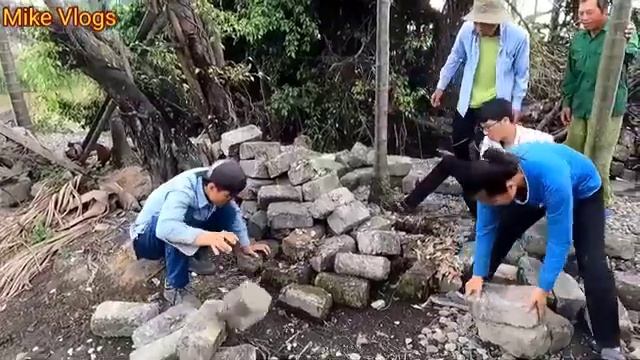 Niña vs. python gigante de 100 kg, que ataca gallina mientras trabaja смотреть онлайн