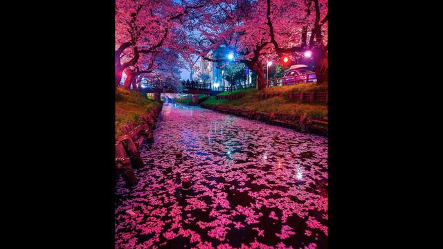 "It Might as well be Spring" by Richard Rogers and Oscar Hammerstein смотреть онлайн