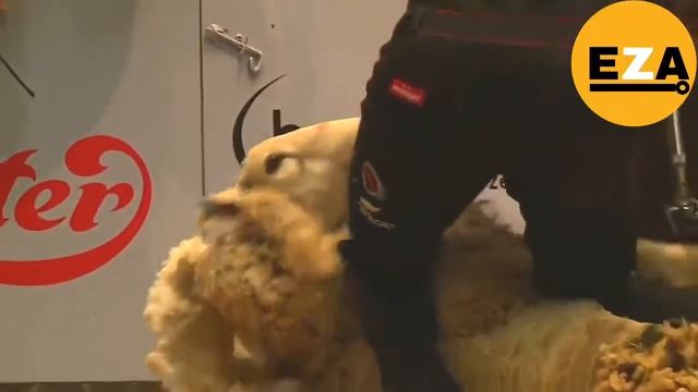 fast workers | fast workers compilation | fast workers in the world | Reality public tv смотреть онлайн